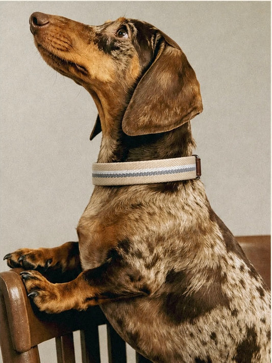 Oat Stripe Leather Dog Collar