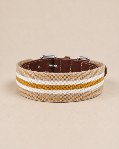 Honey Stripe Leather Dog Collar