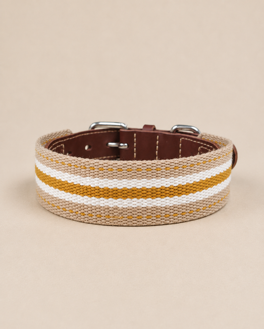 Honey Stripe Leather Dog Collar