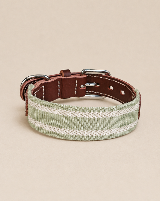 Olive Stripe Leather Dog Collar