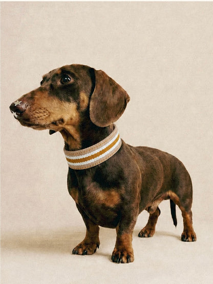 Honey Stripe Leather Dog Collar