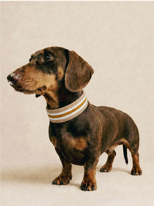 Honey Stripe Leather Dog Collar