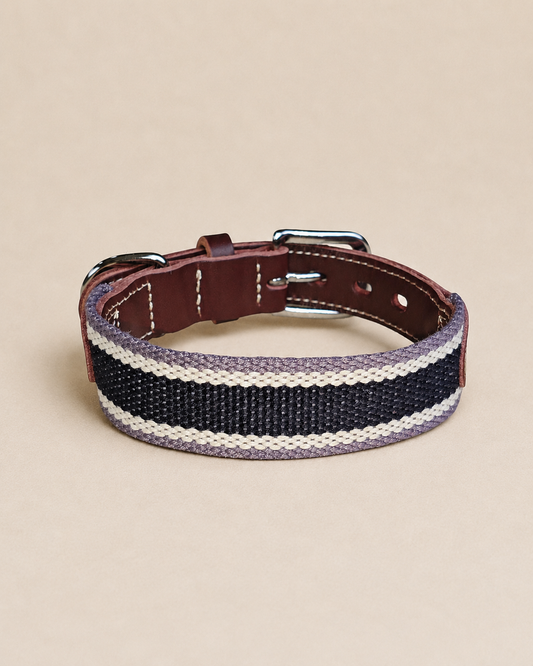 Midnight Stripe Leather Dog Collar