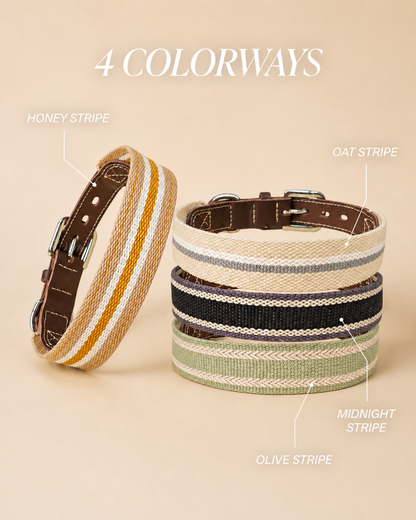 Honey Stripe Leather Dog Collar