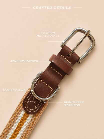 Honey Stripe Leather Dog Collar