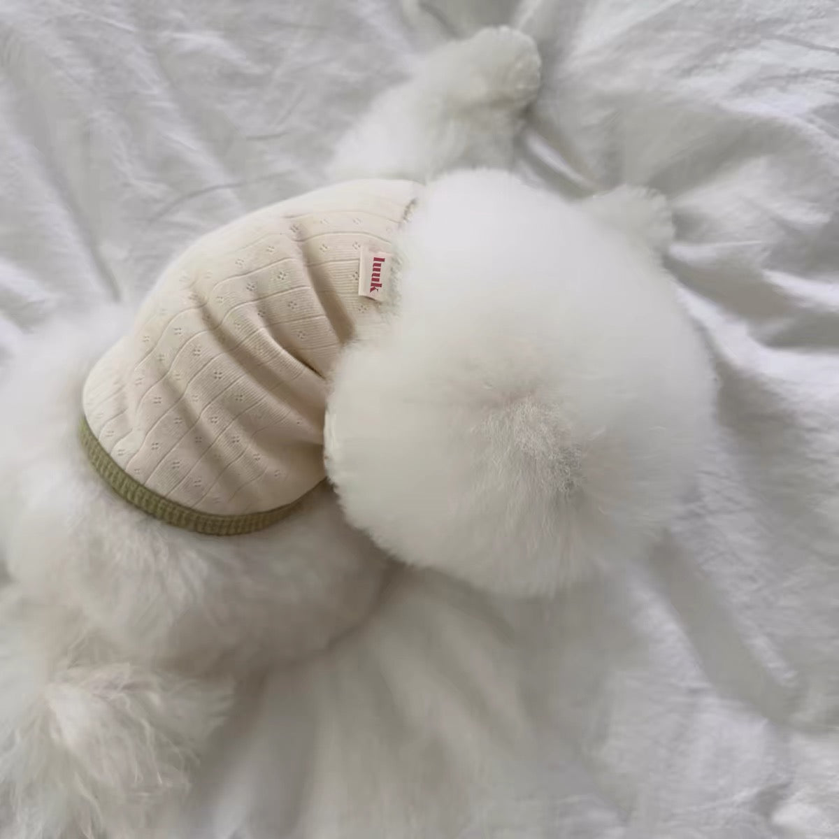 Soft Daisy Pet Shirts