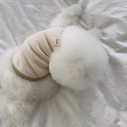 Soft Daisy Pet Shirts