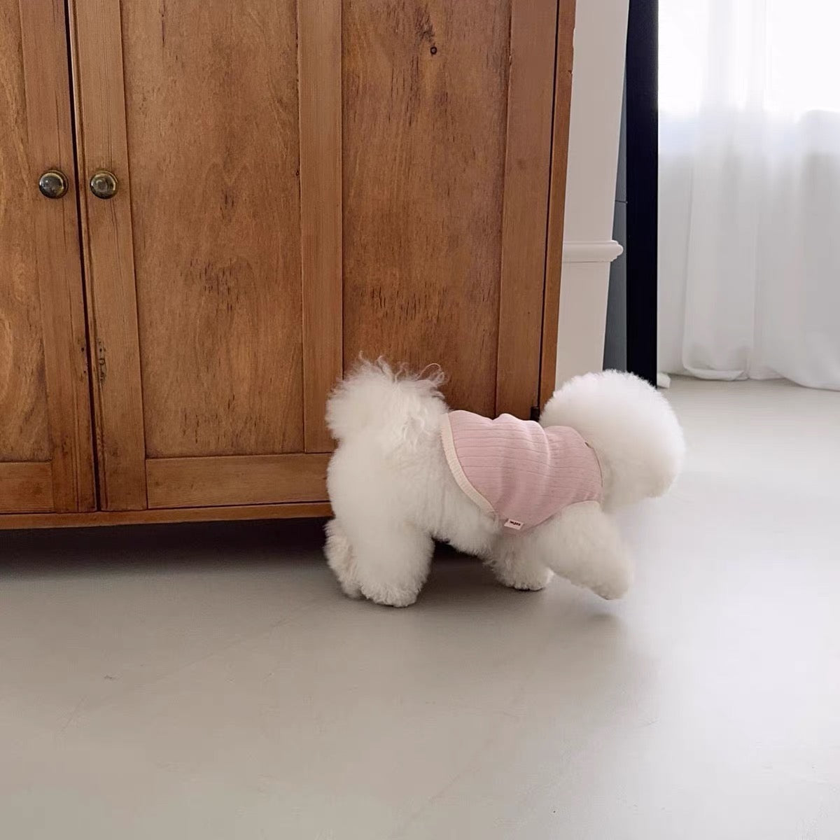 Soft Daisy Pet Shirts