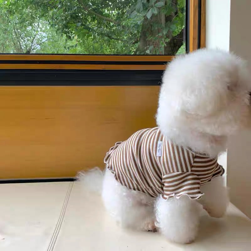 Berry Latte Stripe Pet Top