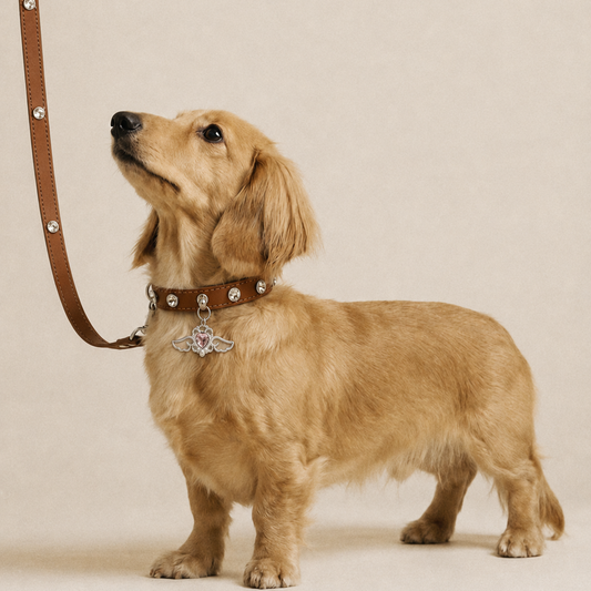 Toffee Angel Rhinestone Dog Collar