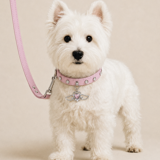 Angel Heart Rhinestone Dog Collar with Wing Charm